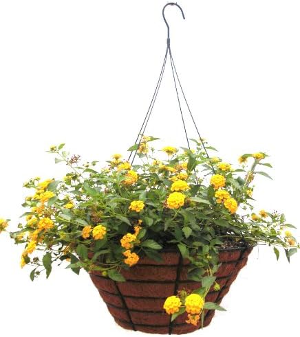 18 Inch Traditional Heavy Duty Hanging Basket with Hand Formed Cocomoss Liner and Rigid Hanger
