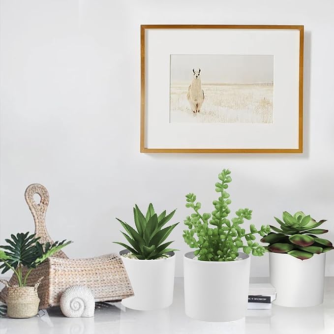 Hopewood Succulent Plants Artificial in White Pots Small Faux Potted Succulents Fake Plants in Vase Set of 3