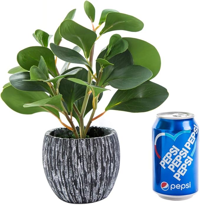 AlphaAcc Artificial Plants Real Looking and Touching Fake Plant Evergreen Plastic Fiddle Leaf Fig Plant with Rustic Black Cement Planter for Housewarming Office Desk Decor
