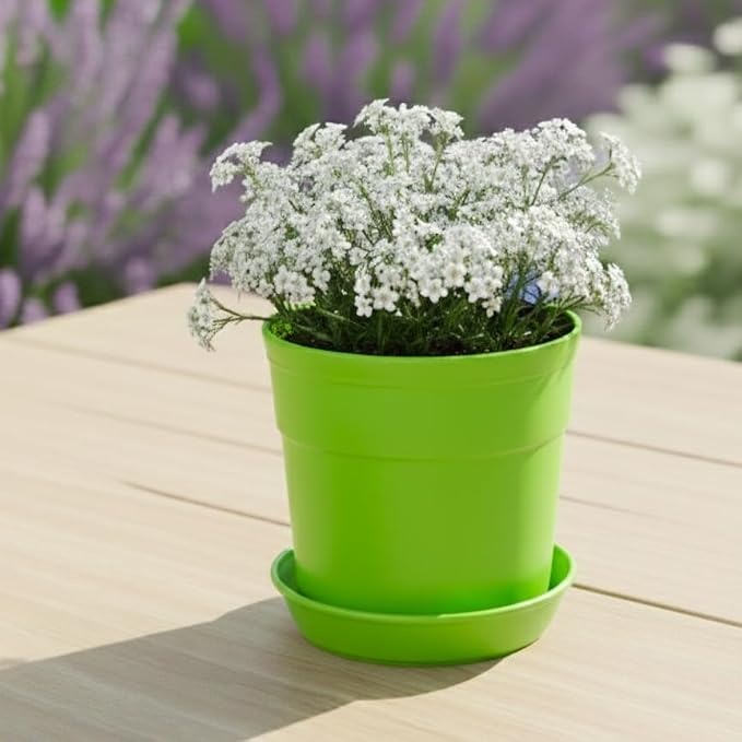 12-Piece Lime Green Color Flower Pot and Saucer Set, Modern Planter Collection in Graduated Sizes (2"–12") – | Graduated 2-12 Inch Sizes, Drainage Holes, Durable Fade-Resistant Design, Made in USA for Plants & Flowers