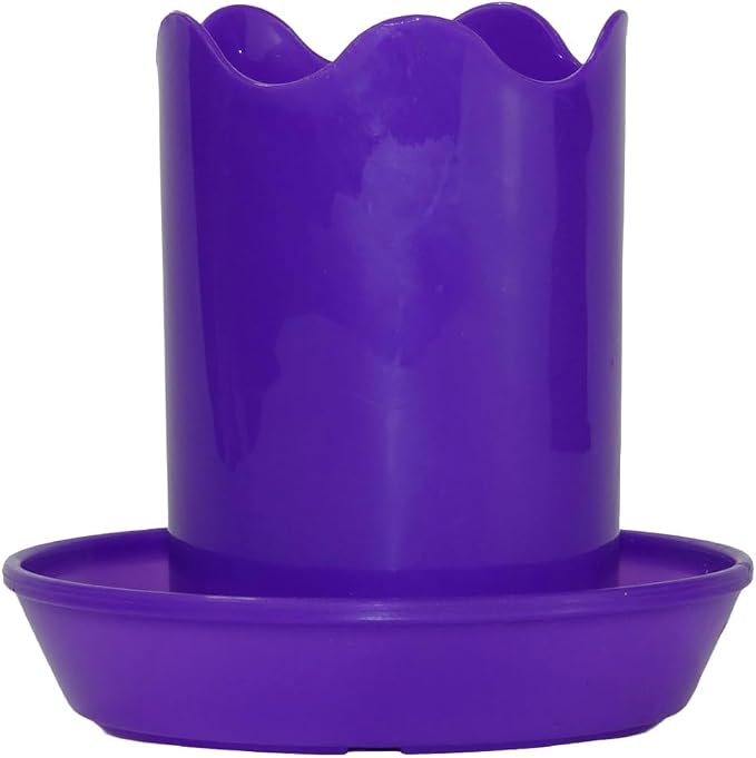 2 inch Wavy with Saucers 5 Pack Purple