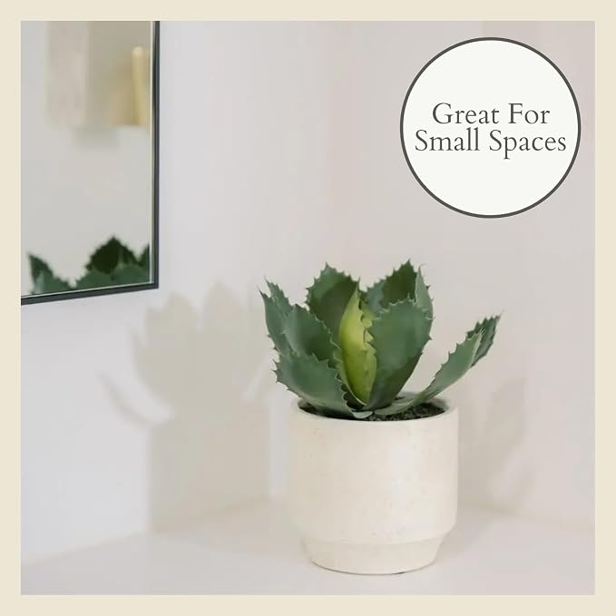 CG Hunter Round Faux Succulent Arrangement, Set-of-2 Premium Artificial Indoor Plants Enhances Interior Design, Display on Any Surface in Your Home Adding an Inviting Touch of Nature, Pots Included
