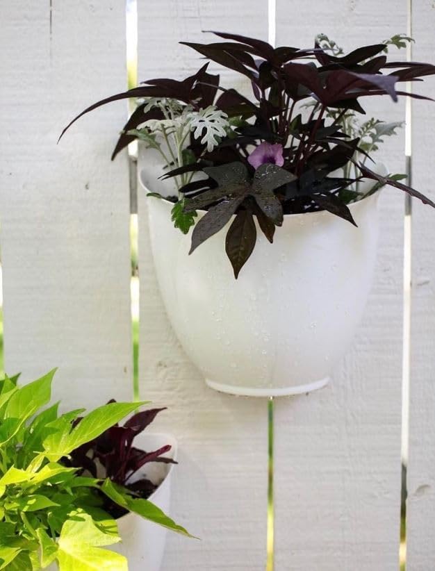 The HC Companies 8 Inch Garden Wall Planter - Plastic Hanging Plant Pot for Indoor Outdoor Flowers, Herbs, Clay Colored (Pack of 2)