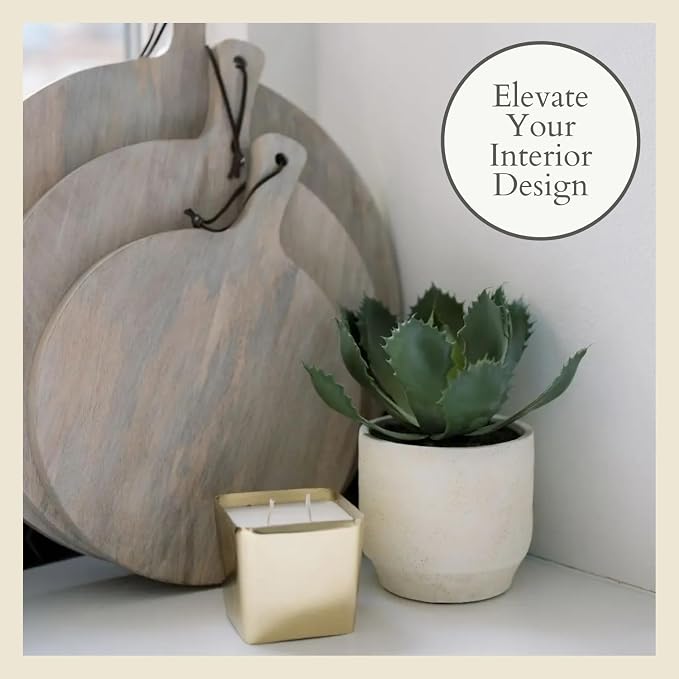 CG Hunter Round Faux Succulent Arrangement, Set-of-2 Premium Artificial Indoor Plants Enhances Interior Design, Display on Any Surface in Your Home Adding an Inviting Touch of Nature, Pots Included