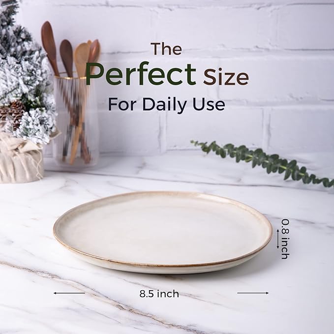 AmorArc Ceramic Plates Set of 6, 8.5 Inch Handmade Reactive Glaze Stoneware Plates set for Dessert, Salad, Appetizer, Dinner, Microwave & Dishwasher Safe, Scratch Resistant-Cappuccino