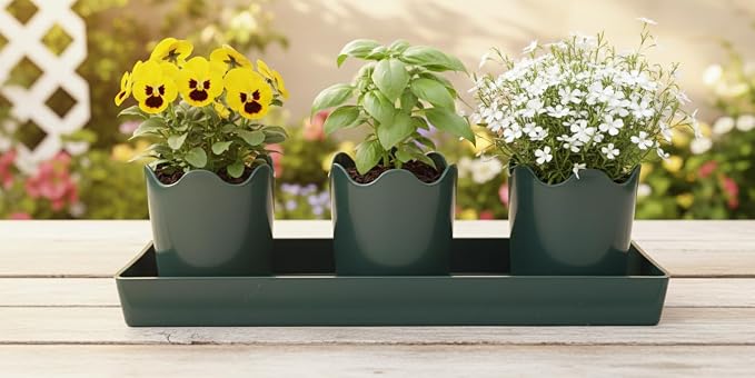 2 inch Wavy Flower Pot with Rectangular Saucer 3 Pack Hunter Green