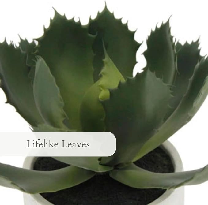 CG Hunter Round Faux Succulent Arrangement, Set-of-2 Premium Artificial Indoor Plants Enhances Interior Design, Display on Any Surface in Your Home Adding an Inviting Touch of Nature, Pots Included
