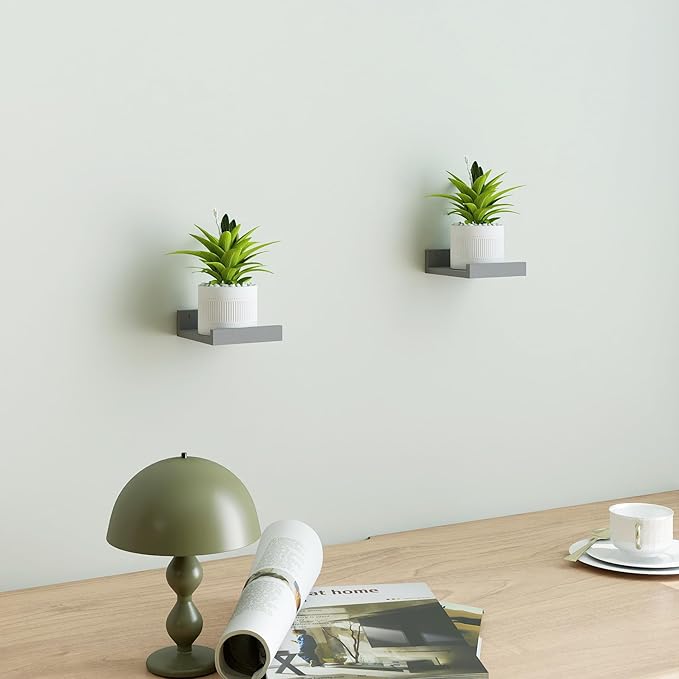 Small Floating Shelves for Wall Decor, Wall Mounted Wood Shelf for Bedroom, Living Room, Bathroom, Kitchen, Nursery, Mini Display Ledge Shelf with Lip Set of 2-4 Inches, Grey