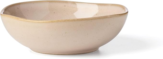 Oneida 897202 Organic Shades 12-Piece Dinnerware Set, Service For 4, Unique Color May Vary, Clay