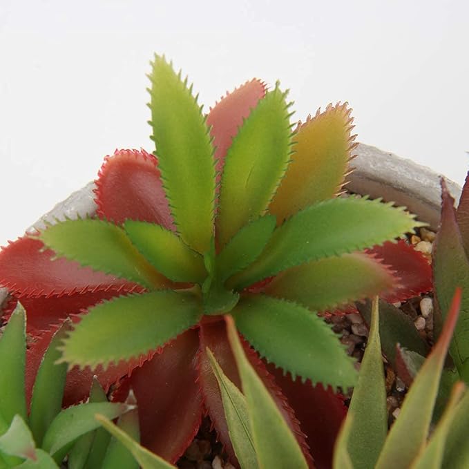 Briful Small Fake Plants Assorted Faux Succulents in Pots Realistic Succulents Plants Artificial with Cement Pots for Home Table Office Desk Bathroom Shelf Living Room Decor