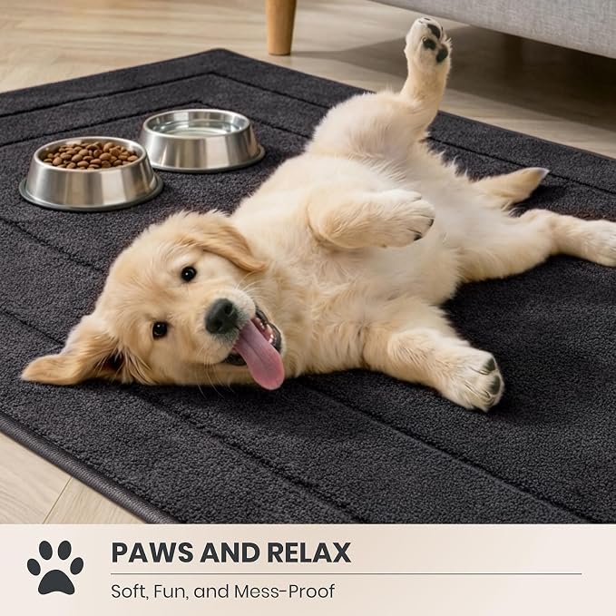 PURRUGS Dirt Trapping Door Mat 24" x 35.5", Non-Slip/Skid Machine Washable Entryway Rug, Dog Doormat, Super Absorbent Welcome Mat for Muddy Wet Shoes and Paws, Charcoal