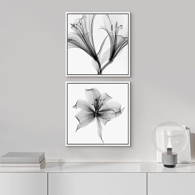 SIGNFORD Framed Wall Art Print Set Detailed X-Ray Lily Flower Closeup Floral Plants Photography Minimalism Glam Relax/Calm Cool Black and White for Living Room, Bedroom, Office - 16"x16"x2 White