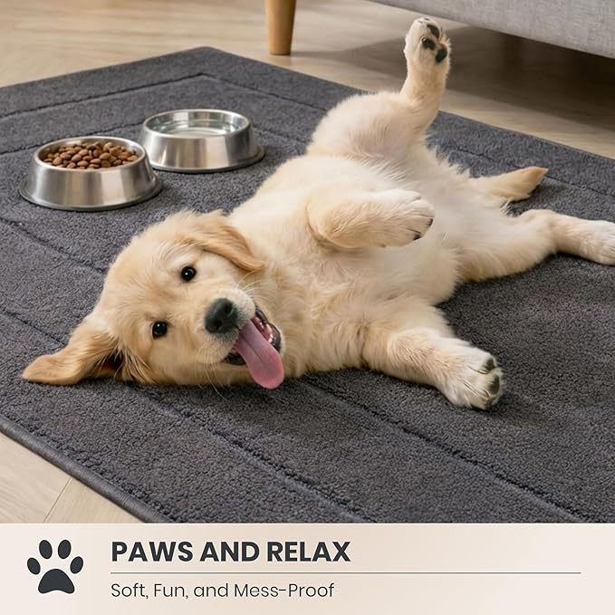 PURRUGS Dirt Trapping Door Mat 32" x 47", Non-Slip/Skid Machine Washable Entryway Rug, Dog Doormat, Super Absorbent Welcome Mat for Muddy Wet Shoes and Paws, Grey