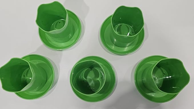 2 inch Wavy with Saucers 5 Pack Lime Green