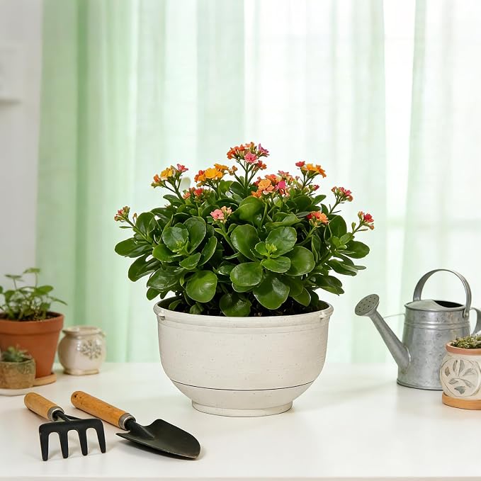 9 Inch Hanging Planter 2-Pack, Beige Hanging Flower Pots with Chains – Indoor Outdoor Hanging Baskets with Drainage Holes for Balcony, Patio, Garden & Small Space Decor