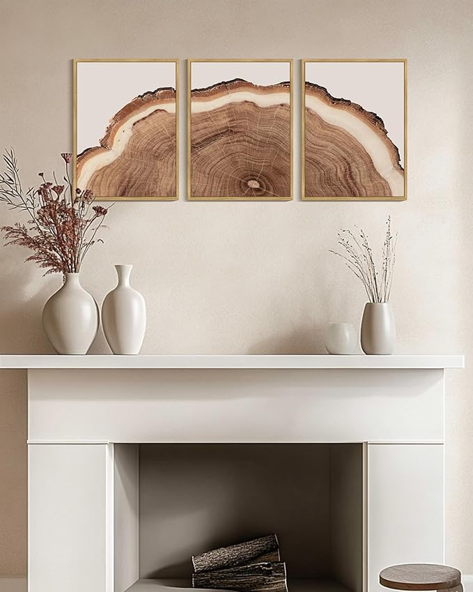 PHOPAGO Vintage Tree Rings Wood Framed Wall Art Modern Retro Stump Wall Decor Nature Farmhouse Rustic Art Prints Home Decor - 12x16in Natural Framed