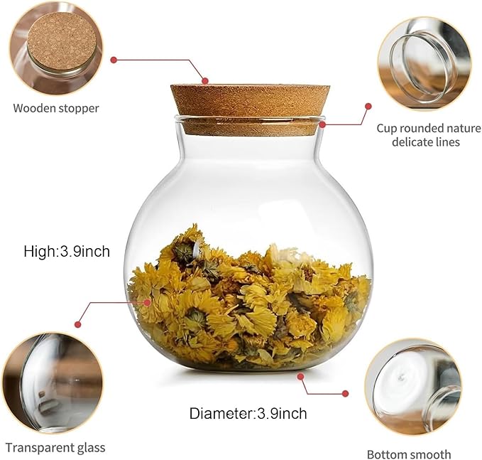 17oz Spherical Glass Jar with Cork Lid Airtight - Kitchen Glass Jar for Preserving and Storing candy, tea, Coffee, Spice, flour, Beans etc (6)