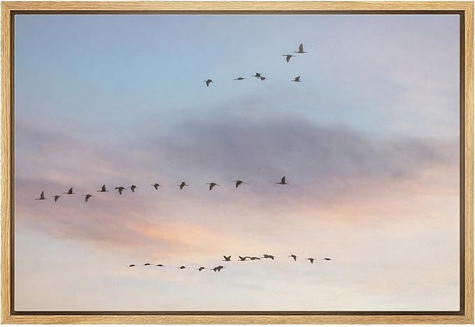 MUDECOR Framed Canvas Print Wall Art Flying Birds in Pastel Sunset Sky Panorama Illustrations Minimalism Decorative Bohemian Zen for Living Room, Bedroom, Office - 16"x24" NATURAL