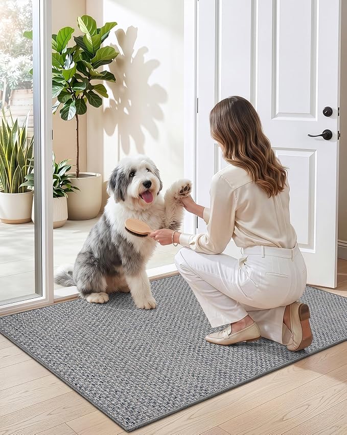 DEXI Ultra Thin Door Mat Indoor Entrance 32x48, Non Slip Rubber Backed Entryway Mats Dirt Trapper, Low Profile Front Doormat for Inside Entry, Patio, Porch, Grey