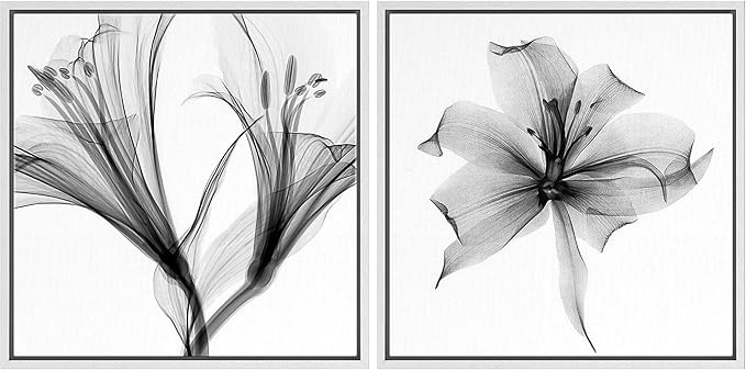 SIGNFORD Framed Wall Art Print Set Detailed X-Ray Lily Flower Closeup Floral Plants Photography Minimalism Glam Relax/Calm Black and White for Living Room, Bedroom, Office - 24"x24"x2 White