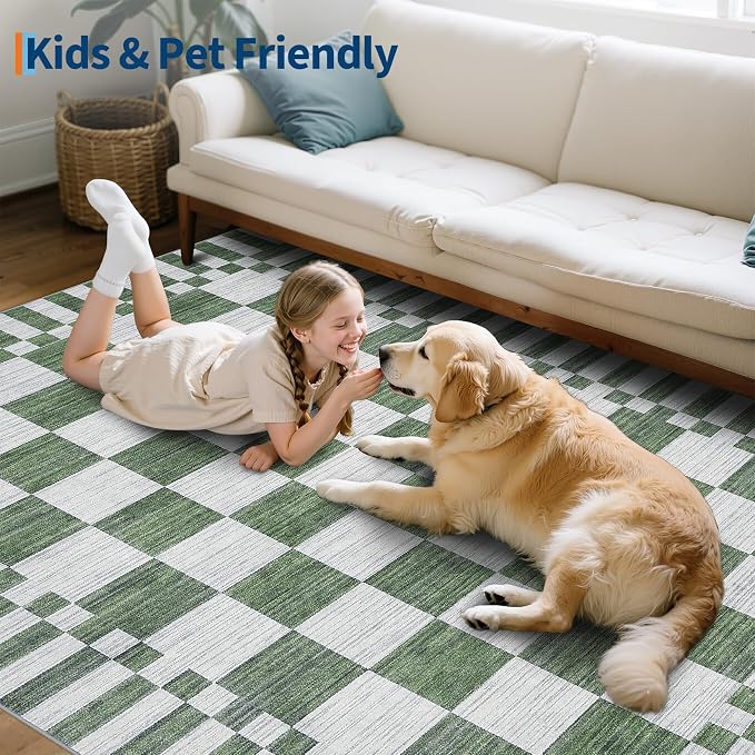 GarveeHome Sage Green Checkered Rug 4×6 Area Rugs for Living Room，Non-Slip Washable Rug Soft Low-Pile, Neutral Modern Farmhouse Geometric Rugs for Bedroom Dining Room Office