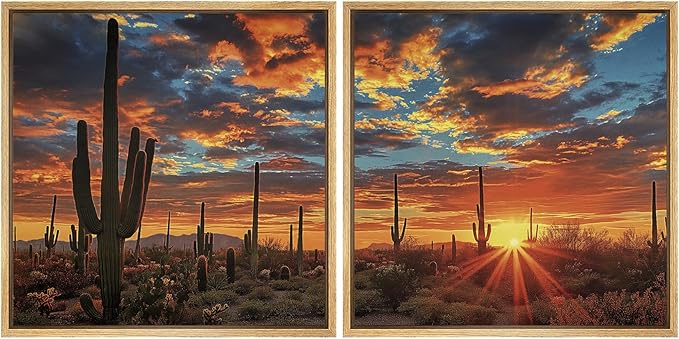 SIGNFORD Framed Canvas Print Wall Art Set Desert Sunset Cactus Artwork, Dramatic Sky Southwest Landscape Illustrations Modern Art Minimal Relax/Calm for Living Room, Bedroom, Office - 24"x24"x2 NATURAL