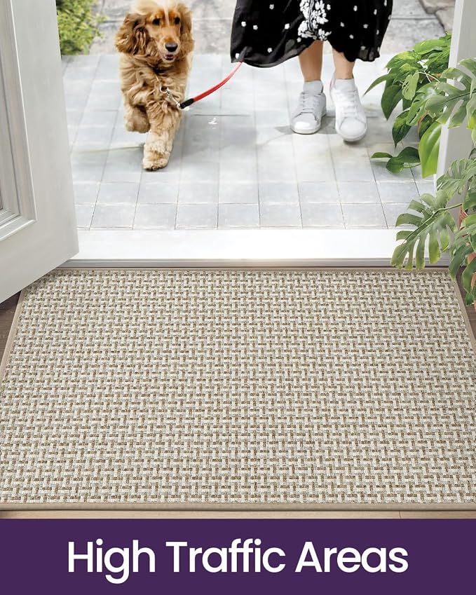 DEXI Ultra Thin Door Mat Indoor Entrance 32x48, Non Slip Rubber Backed Entryway Mats Dirt Trapper, Low Profile Front Doormat for Inside Entry, Patio, Porch, Beige and White
