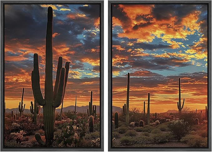 SIGNWIN Framed Wall Art Print Set Desert Sunset Cactus Landscape Photography Modern Art Rustic Relax/Calm Multicolor for Living Room, Bedroom, Office - 16"x24"x2 BLACK