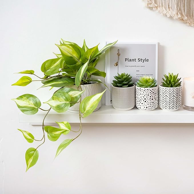 Kurrajong Farmhouse Artificial Succulents in pots | Set of 3 Black and White pots with Faux Succulents | Faux Plants Indoor | Fake Plants for Desk Decor | 4.75" high