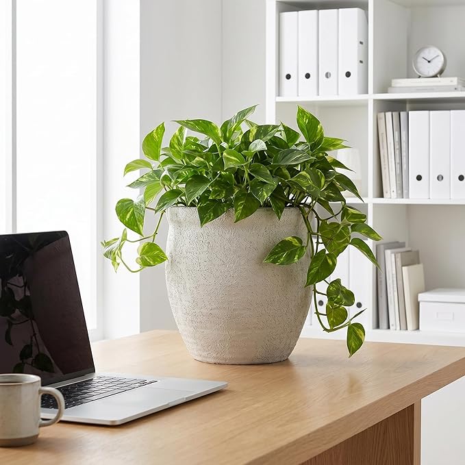 9" Dia Fiberstone Planter – Modern Farmhouse Indoor/Outdoor Flower Pot, Beige Decorative Plant Pot with Grainy Matte Texture & Drainage Hole for Patio, Porch, Garden, Home Décor