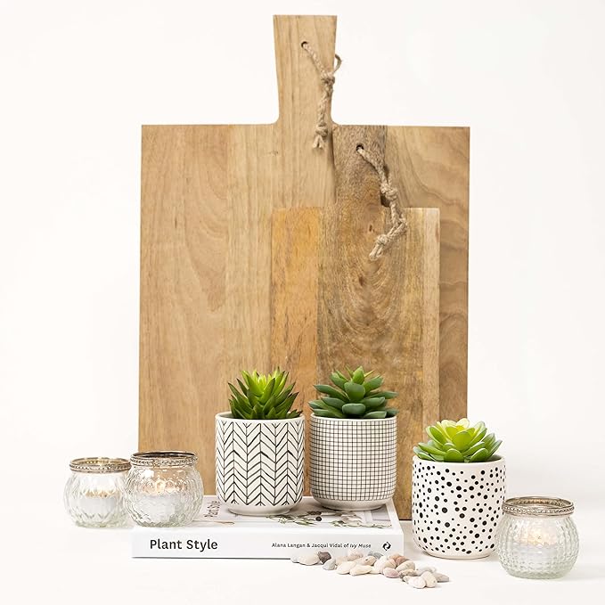 Kurrajong Farmhouse Artificial Succulents in pots | Set of 3 Black and White pots with Faux Succulents | Faux Plants Indoor | Fake Plants for Desk Decor | 4.75" high