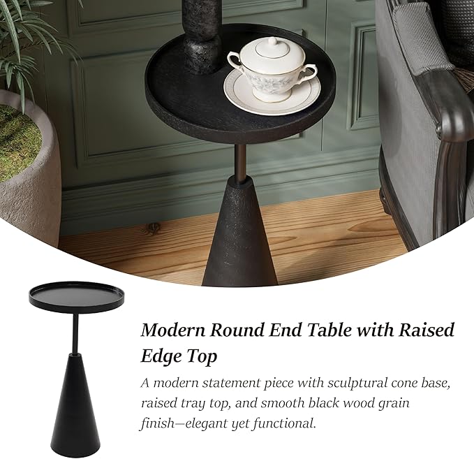 COZAYH Modern Round End Table with Raised Edge Tray Top, Wooden Pedestal Side Table with Rubber Wood Base for Living Room, Entryway, Office (Black)