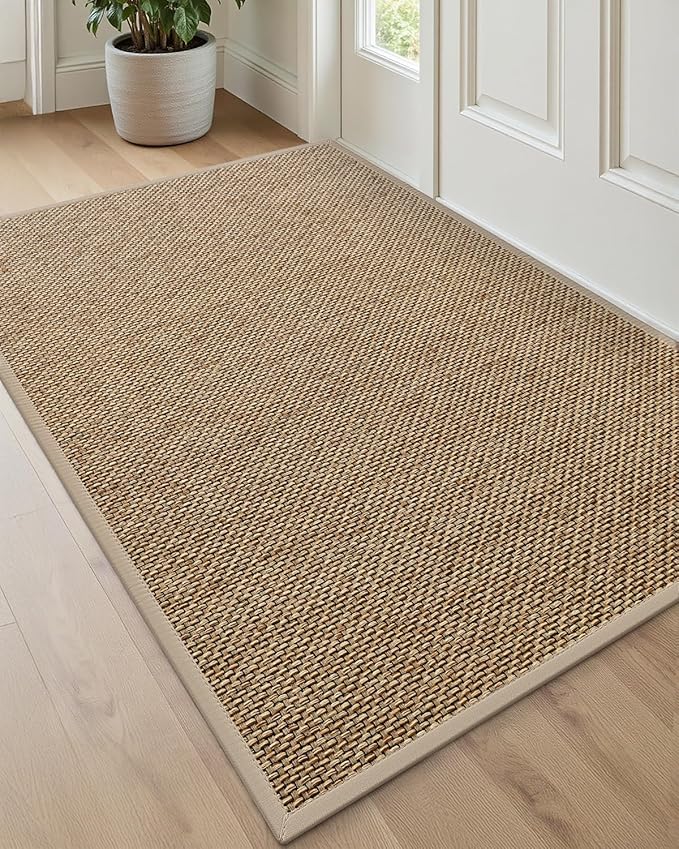 DEXI Ultra Thin Entryway Indoor Door Mat 32x48, Non Slip Rubber Backing Inside Entry Mat, Low Profile Easy Clean Dirt Trapper Doormat for Inside Entrance Patio, Beige