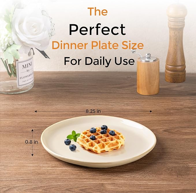 AmorArc Ceramic Plates Set of 6,8.5 Inch Handmade Reactive Glaze Stoneware Plates set for Dessert,Salad,Appetizer,Small Dinner Plates,Microwave & Dishwasher Safe,Scratch Resistant