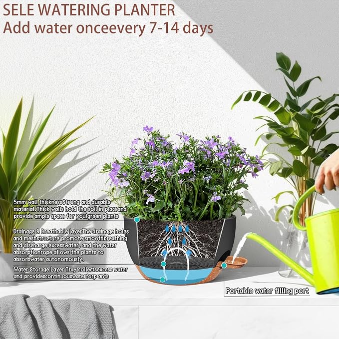 12" Self Watering Hanging Planters with Chains, Black Brown，2 Pack | 43 Oz removable self-watering reservoir, for indoor/outdoor plants, patio & garden