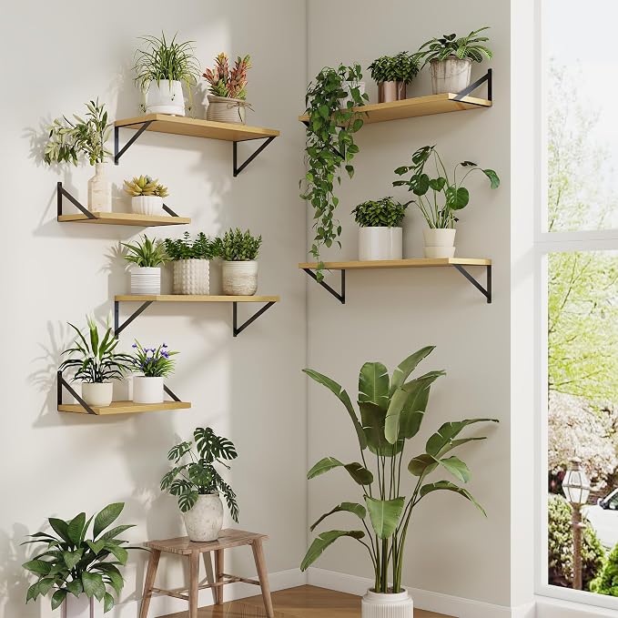 Axeman Deep Floating Shelves | 16 Inch Oak Wall Shelves Set of 2 | 10 Inch Deep Wood Floating Shelves for Wall | 16" W x 10" D Oak Shelves for Living Room Bathroom Kitchen