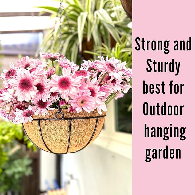 LaLaGreen Hanging Baskets for Outdoor Plants (10 Pack, 14 Inch) Large Hanging Planter with Coco Liner Round Flower Pots, Black Metal Wire Plant Holder Hook Deck Porch Garden Balcony Farmhouse Decor