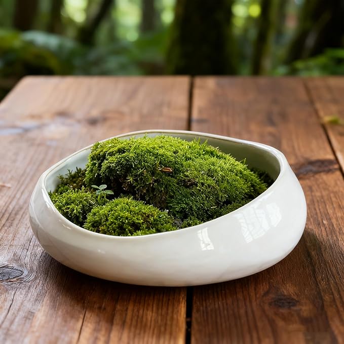 Decorative Bowl Free-Form Rim Glazed Ceramic Fruit Bowl for Kitchen Counter Ceramic Dining Room Table Centerpiecekey Bowl for Entryway Table|Dishwasher & Microwave Safe