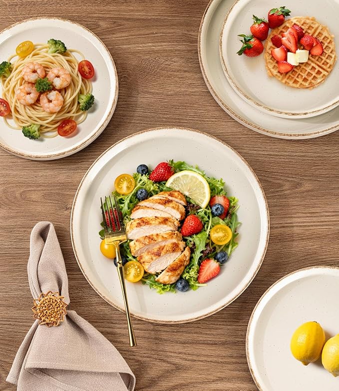 AmorArc Ceramic Dinnerware Sets for 8, 24 Pieces Handpainted Plates and Bowls Set with Rustic Terracotta Underside, Scratch Resistant Stoneware Dishes Set, Dishwasher & Microwave Safe