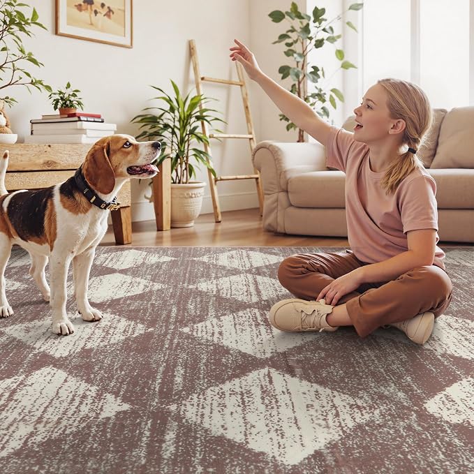 Lahome Zelie Moroccan Treills Area Rug, 3x5 Rugs for Living Room Washable Entry Mat, Checkered Modern Soft Beige Indoor Accent Carprt for Coffee Table Bedroom Family Dinning Room Playroom