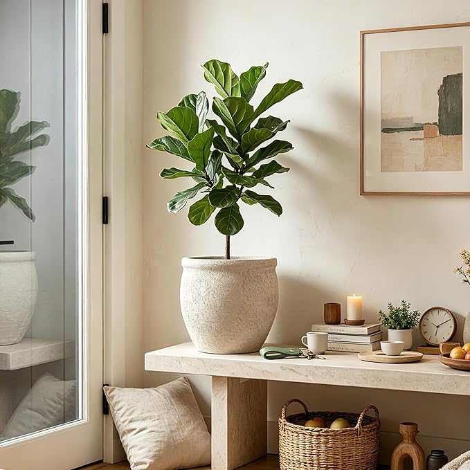9" Dia Fiberstone Planter – Modern Farmhouse Indoor/Outdoor Flower Pot, Beige Decorative Plant Pot with Grainy Matte Texture & Drainage Hole for Patio, Porch, Garden, Home Décor