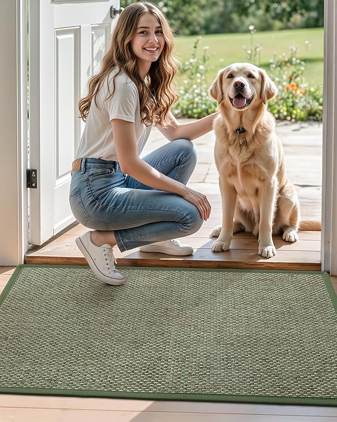 DEXI Ultra Thin Entryway Indoor Door Mat 32x48, Non Slip Rubber Backing Inside Entry Mat, Low Profile Easy Clean Dirt Trapper Doormat for Inside Entrance Patio, Green