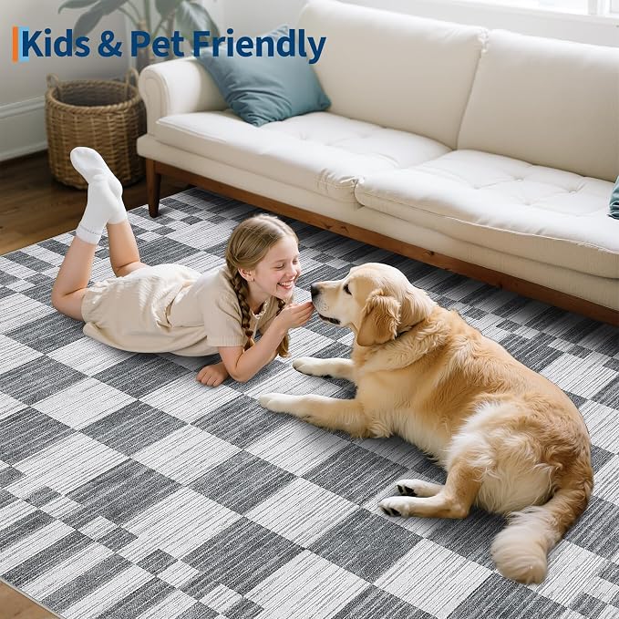 GarveeHome Grey Checkered Rug 4×6 Area Rugs for Living Room，Non-Slip Washable Rug Soft Low-Pile, Neutral Modern Farmhouse Geometric Rugs for Bedroom Dining Room Office