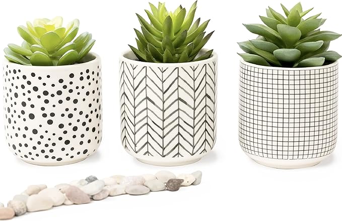 Kurrajong Farmhouse Artificial Succulents in pots | Set of 3 Black and White pots with Faux Succulents | Faux Plants Indoor | Fake Plants for Desk Decor | 4.75" high