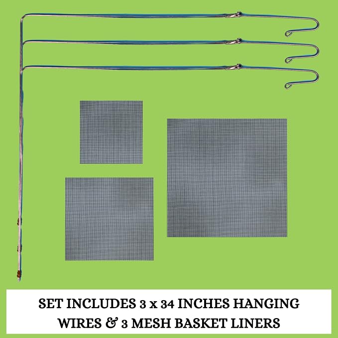 Set of 3 Strong Teak Wood Orchid Baskets for Outdoors with Hangers, 1 is 10 Inches Wide, 1 is 8 Inches, 1 is 6 Inches, for Orchids, Staghorn Ferns, Orchid Gifts