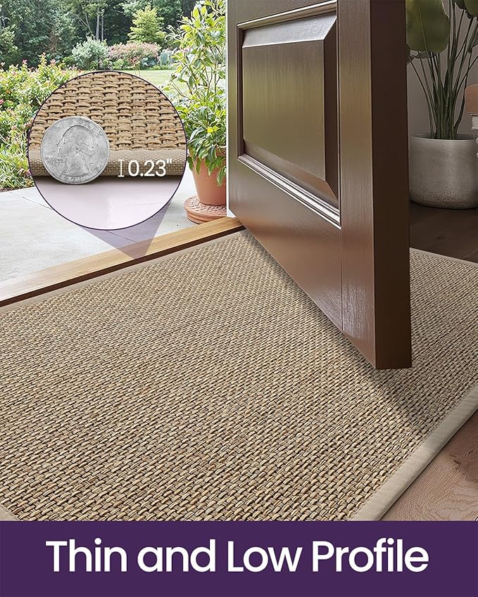 DEXI Ultra Thin Entryway Indoor Door Mat 17x30, Non Slip Rubber Backing Inside Entry Mat, Low Profile Easy Clean Dirt Trapper Doormat for Inside Entrance Patio, Beige