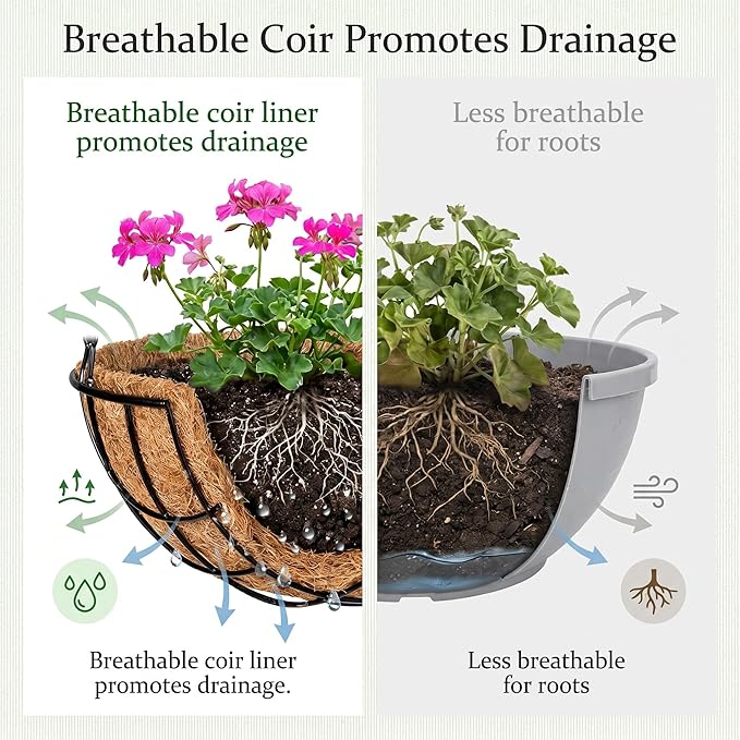 Kingbuy 12 Inch Metal Hanging Planter Basket 2 Pack - with Coconut Fiber Liners, Rustproof 3-Chain System, Quick Drainage for Indoor/Outdoor Window Balcony Patio, Weather-Resistant Coating