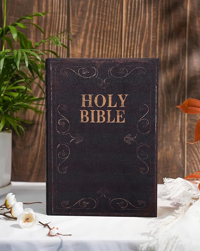 Decorative Wooden Book Box, Vintage Faux Book Boxes with Magnetic Closure, Secret Storage, Antique Look Leather Cover for Bookshelf or Office Decor (1 x Holy Bible)
