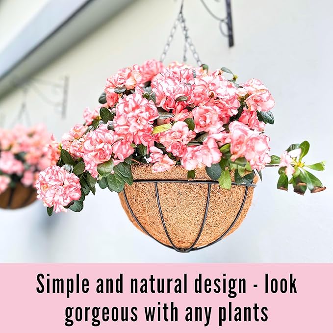 LaLaGreen Hanging Baskets for Outdoor Plants (2 Pack, 14 Inch) Large Hanging Planter with Coco Liner Round Flower Pots, Black Metal Wire Plant Holder Hook Deck Porch Modern Garden Balcony Boho Decor