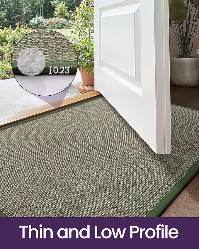 DEXI Ultra Thin Entryway Indoor Door Mat 32x48, Non Slip Rubber Backing Inside Entry Mat, Low Profile Easy Clean Dirt Trapper Doormat for Inside Entrance Patio, Green